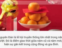 Người Việt tìm kiếm gì trên Google vào dịp Tết Nguyên đán Quý Mão 2023?