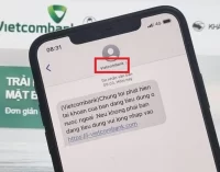 Tội phạm công nghệ gia tăng mạo danh ngân hàng gửi tin nhắn lừa đảo, chiếm đoạt tiền dịp Tết