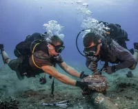 Toàn bộ 5 tuyến cáp quang biển Internet quốc tế của Việt Nam đều bị sự cố