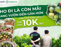 Lazada “giải cứu” cam sành miền Tây giúp nông dân bán trên sàn thương mại điện tử