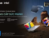 ASUS Việt Nam giới thiệu loạt laptop OLED Zenbook và Vivobook trang bị CPU Intel Core thế hệ 13