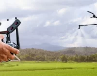 Nông dân Việt lên mây