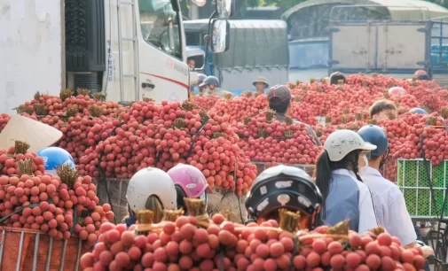 Grab Việt Nam khởi động dự án GrabConnect năm thứ 3 với chiến dịch Lễ hội Trái cây 2023