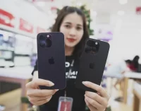Đại lý bán lẻ mạnh tay giảm giá iPhone VN/A