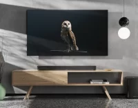 Sennheiser mở bán dòng loa cao cấp AMBEO Soundbar Plus và AMBEO Sub tại Việt Nam  