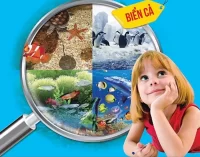 Chung tay phổ cập tri thức khoa học