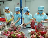 Người lao động ở Long An có thêm công cụ kết nối việc làm trên ứng dụng Zalo