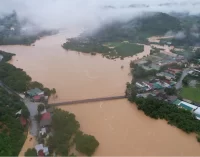 Người dân vùng lũ lụt có thể liên hệ cứu trợ khẩn cấp qua Zalo mini app “Phòng chống thiên tai Việt Nam”