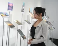 ViewSonic lần đầu tiên tổ chức Triển lãm Nghệ thuật Thị giác và Tương tác ColorPro Awards RISE tại Việt Nam