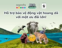 Agoda mở rộng quan hệ đối tác với WWF và cam kết 1 triệu USD cho bảo tồn động vật hoang dã