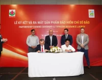 Bảo Minh và Hillridge chung tay giúp người nông dân bảo hiểm thiên tai bảo vệ mùa màng