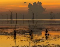 Monash University: Hội nghị Thượng đỉnh Kinh tế Xanh Úc – Việt Nam mở cơ hội quan hệ hợp tác về kinh tế xanh