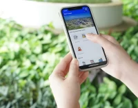 Mini app BR-VT Smart của tỉnh Bà Rịa – Vũng Tàu thu hút 18.000 người dùng chỉ sau 12 ngày triển khai trên Zalo