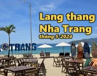 VIDEO: Trở lại Thành phố biển Nha Trang mùa Hè 2024