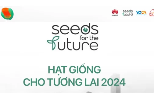 Huawei Việt Nam khởi động chương trình “Hạt giống cho Tương lai 2024” ươm mầm sinh viên công nghệ tài năng