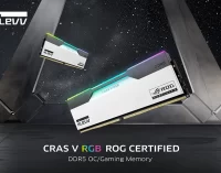 Bộ nhớ KLEVV CRAS V RGB DDR5 đạt chứng nhận gaming ROG