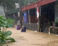 Tính năng Zalo SOS được hơn 300.000 người sử dụng trong cao điểm bão số 3 Yagi