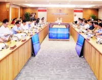 CMC thúc đẩy “Go Global” để sớm trở thành công ty công nghệ toàn cầu