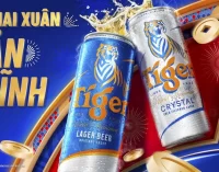 Tiger Beer ra mắt diện mạo mới mừng Xuân 2025