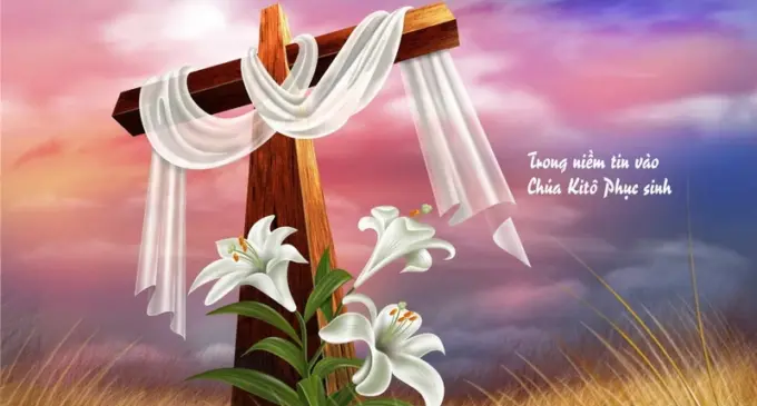 Tiễn em “trở về bụi tro”