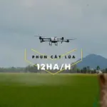 Drone bay đầy đồng, nông nghiệp cất cánh