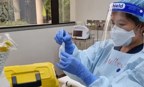 Đại học Monash phát hiện cơ chế tăng sức mạnh cho tế bào tiêu diệt ung thư