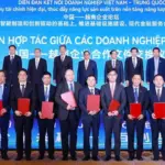 Tập đoàn Huawei Technologies và Tập đoàn Điện lực Việt Nam (EVN) hợp tác phát triển hạ tầng năng lượng bền vững