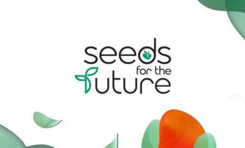 Huawei khởi động chương trình “Hạt giống cho Tương lai” mùa thứ 10 hỗ trợ nhân tài ICT tại Việt Nam