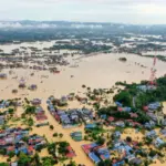 Trà xanh Thái Nguyên trong cái hạn bão lũ