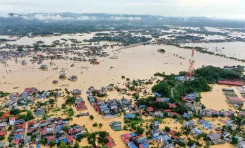 Trà xanh Thái Nguyên trong cái hạn bão lũ