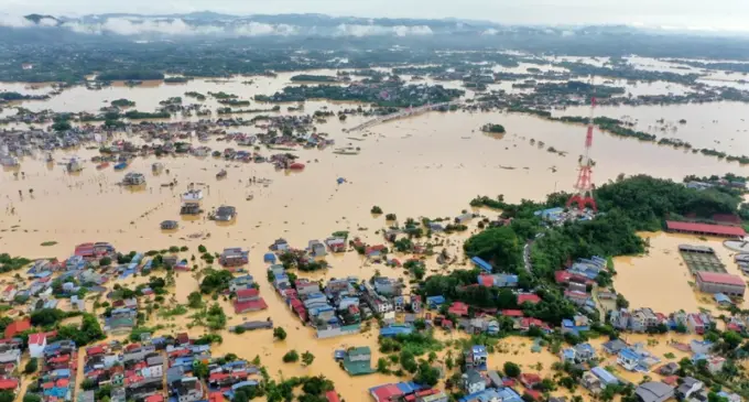 Trà xanh Thái Nguyên trong cái hạn bão lũ