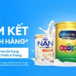 Lazada cùng các thương hiệu sữa hàng đầu chung tay bảo vệ người tiêu dùngvới “Cam kết Sữa Chính Hãng”
