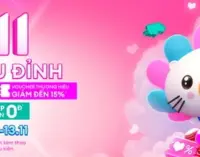 Lazada chi gần 700 tỷ đồng khuyến mại cho dịp siêu sale ngày đôi 11.11