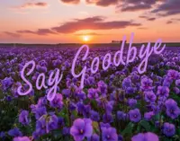 Thêm một người bạn rời cõi tạm trần gian “về trước”