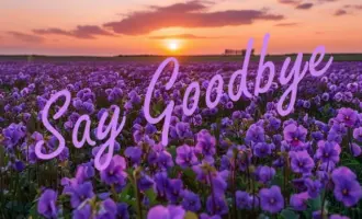 Thêm một người bạn rời cõi tạm trần gian “về trước”