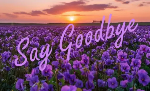 Thêm một người bạn rời cõi tạm trần gian “về trước”