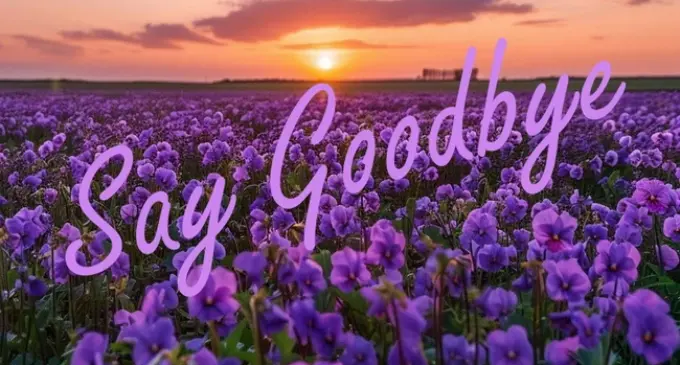 Thêm một người bạn rời cõi tạm trần gian “về trước”