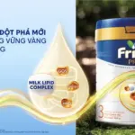 Lazada và Friso đồng hành ưu tiên hàng đầu cho chất lượng sữa