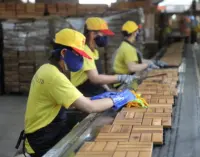 Nhà sản xuất đồ gỗ Green Mekong đạt mốc triệu USD ngay trong năm đầu xuất khẩu trực tuyến trên Amazon