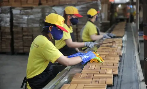 Nhà sản xuất đồ gỗ Green Mekong đạt mốc triệu USD ngay trong năm đầu xuất khẩu trực tuyến trên Amazon