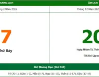 Hôm nay 20 Tết Bính Ngọ 2026