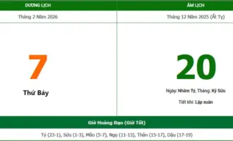 Hôm nay 20 Tết Bính Ngọ 2026