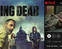 Khi được gợi ý phim xem xuyên Tết