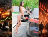 Khi chiến sự ở Iran xộc tới tận nhà bếp