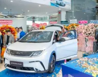 Showroom chuẩn 4S BYD NEG Cần Thơ khai trương và bắt đầu đặt cọc xe ôtô điện BYD Dolphin 2026