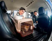 Grab Việt Nam mở rộng thử nghiệm dịch vụ GrabCar Thú Cưng