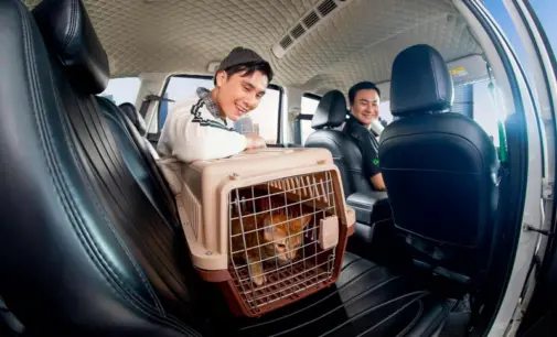 Grab Việt Nam mở rộng thử nghiệm dịch vụ GrabCar Thú Cưng