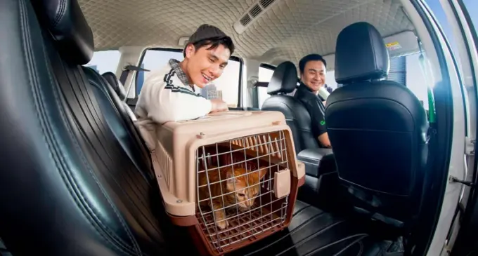 Grab Việt Nam mở rộng thử nghiệm dịch vụ GrabCar Thú Cưng