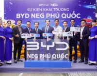 Showroom BYD NEG Phú Quốc khai trương, mở rộng hệ sinh thái xe điện tại đặc khu Phú Quốc