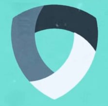 Google Protect Shield
